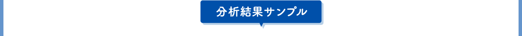 分析結果サンプル