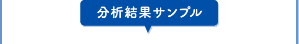 分析結果サンプル