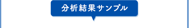 分析結果サンプル