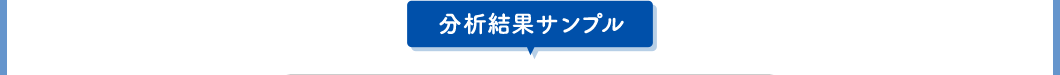 分析結果サンプル